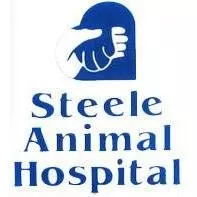 Steele Animal Hospital - Rita Manarino DVM, Florida, Saint Petersburg